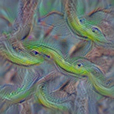 n01739381 vine snake